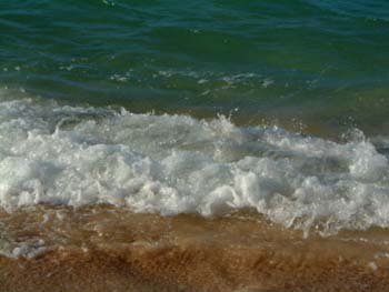 dfroth