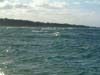 bsurf