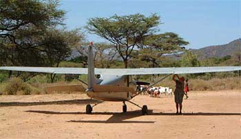 airstrip_goats