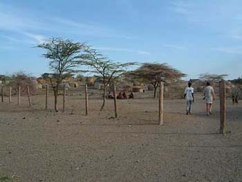 overview