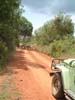 roadblock