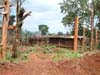 squatter_housing