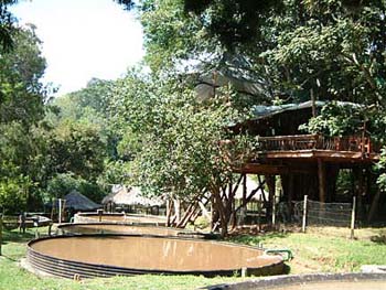 trout_farm_restaurant