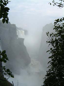 foggyspray