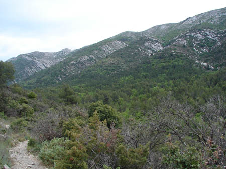 massif5