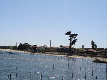 capferret2