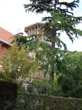 home1