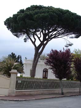 home3