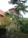 home1
