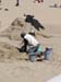 sand2