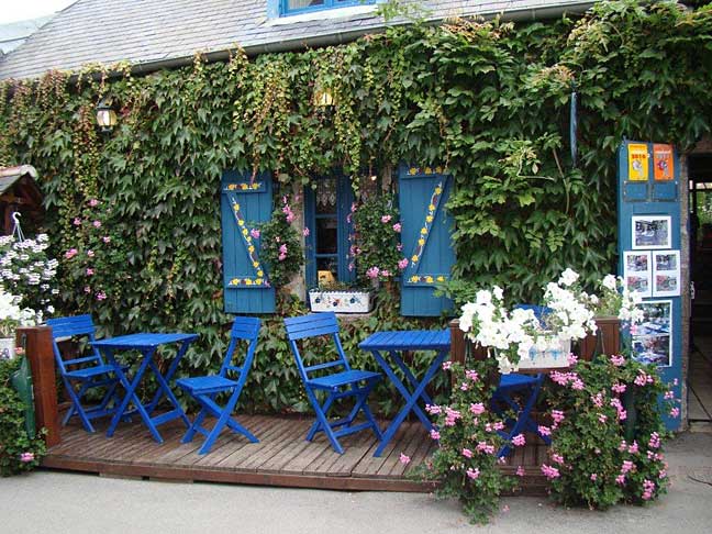 plant-covered
