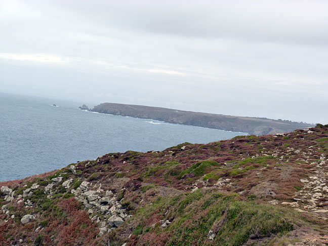 d_pteraz_coast