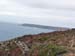 d_pteraz_coast