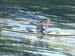 h_kayaker