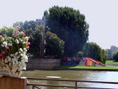 chalon_flowers
