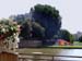 chalon_flowers