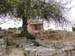 i_temple
