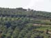r_ps_scene2
