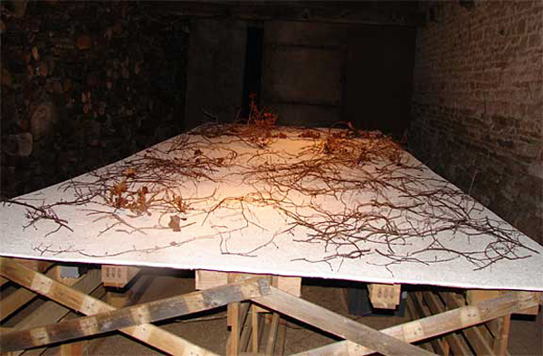p_expo_table
