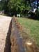 r_expo_gold_log