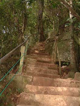stairs