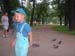 boy_pigeons