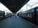 traintostpete