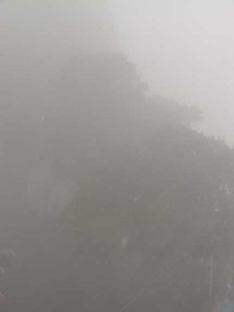 a_fog