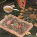 handcrafts4