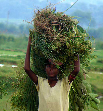 a_womans_work