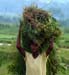 a_womans_work