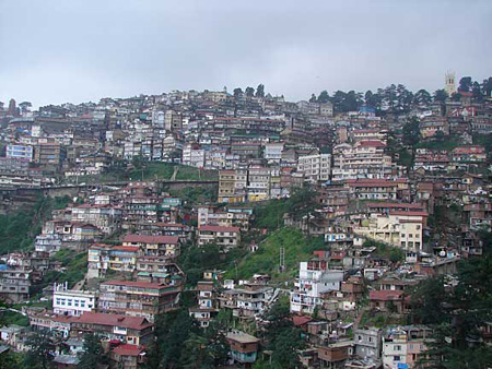 b_shimla2