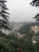 a_shimla