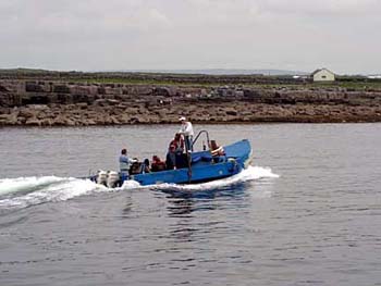 ferrytotheferry
