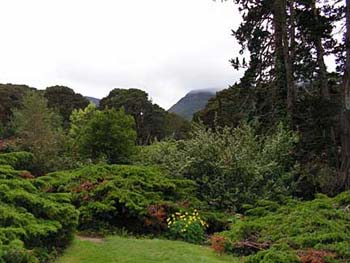 greenscene