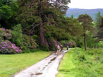 horsedrawncart