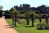 arkgillian_gardens