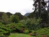 greenscene
