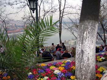 dcafepierreloti