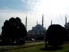 2bluemosque1