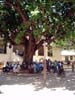 mainsquare