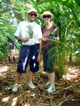us_among_fronds