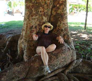 7me_tree_lo