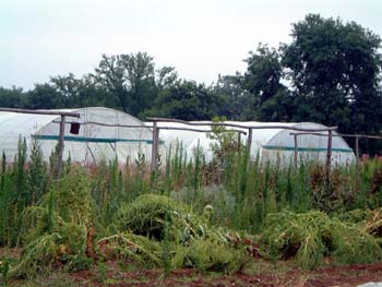 u-greenhouses