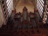 06organ