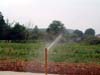 v-irrigation