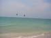 e_pelicans_beach