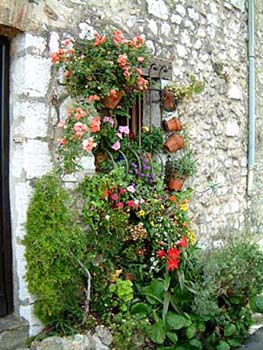 artful_living_stpaul