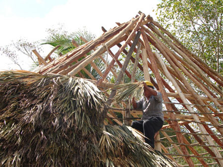 8thatching
