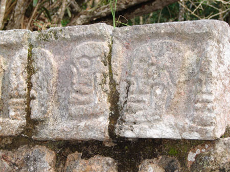 CI_skulls_closeup